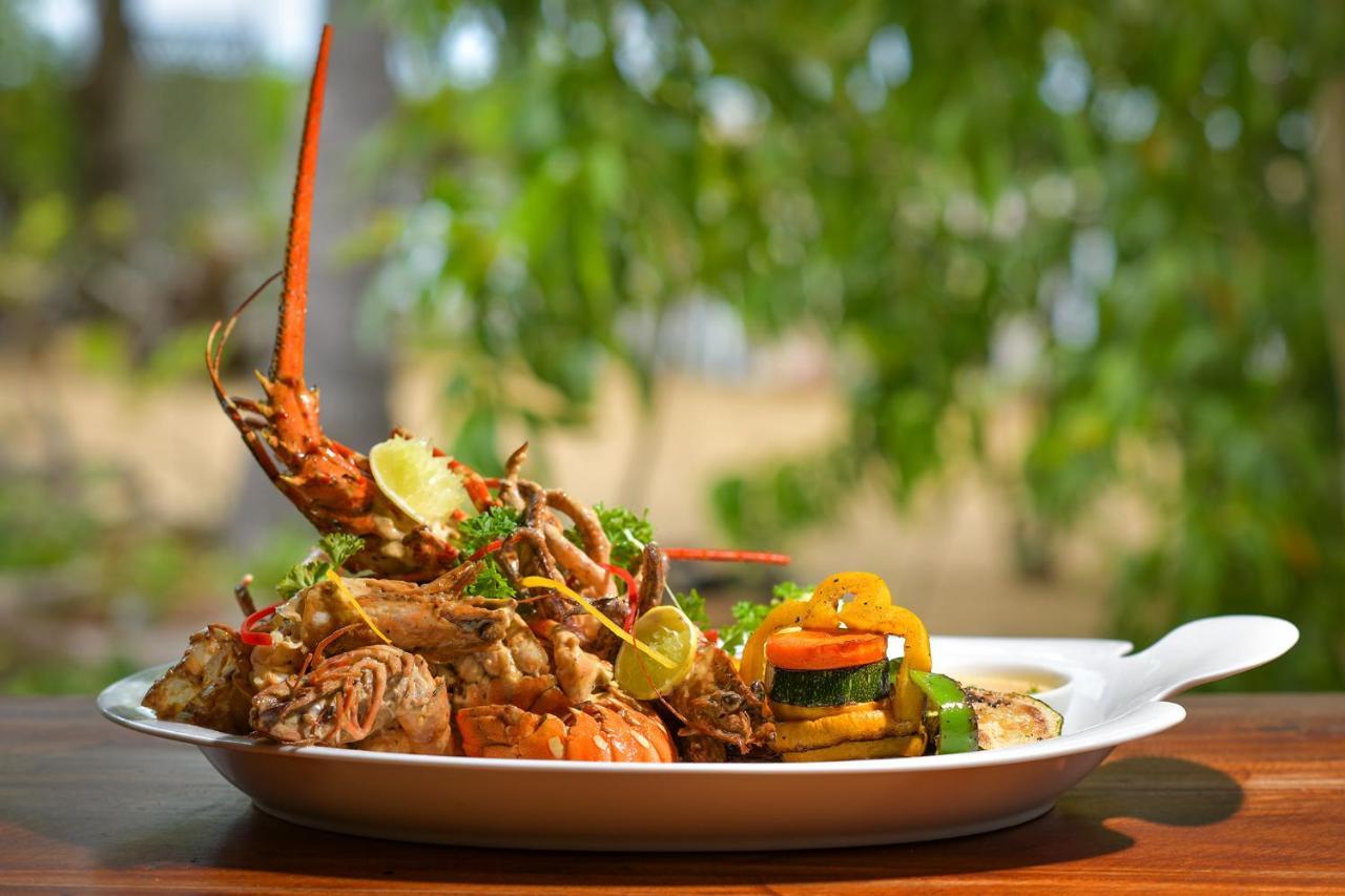 Kitesurfing Lanka Otel Kalpitiya Dış mekan fotoğraf